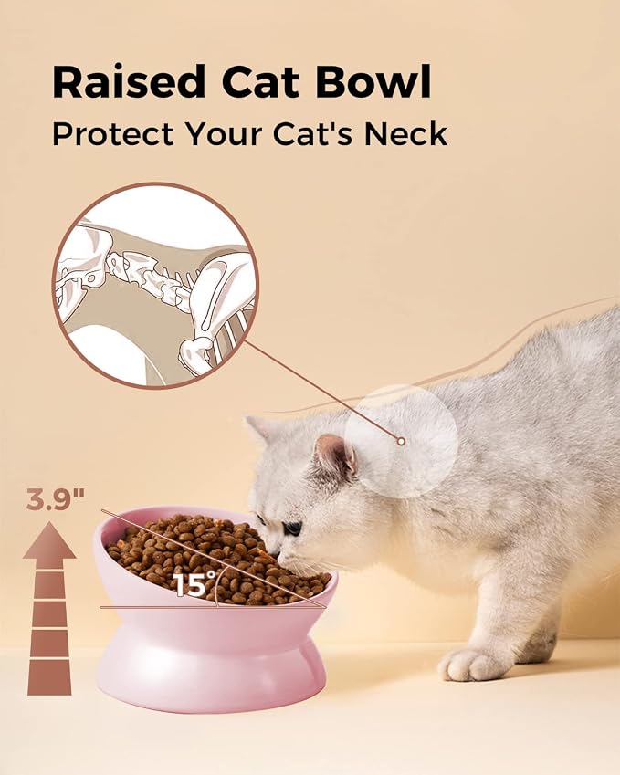 LoeJan Elevated Cat Food Bowl, 5 Oz Ceramic Raised and Tilted Water Bowl, Anti Vomiting and Protect Pets' Spines Dishes for Small Dog, Fat Faced Cat, Kitten (Pink, 1 Pack)