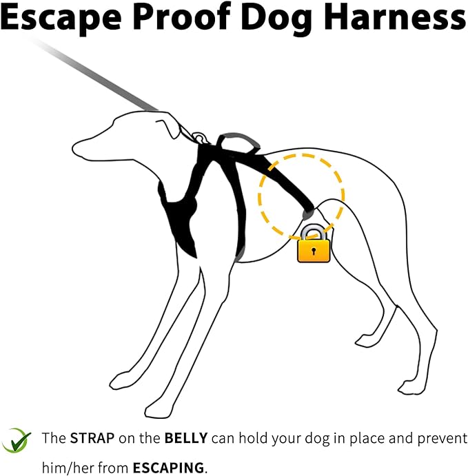 Escape Proof Dog Harness, No Pull Reflective Harness with Lift Handle, Adjustable Pet Vest with Front and Back Leash Clips for Small Medium Large Dogs Walking Hiking Training (Black,L)