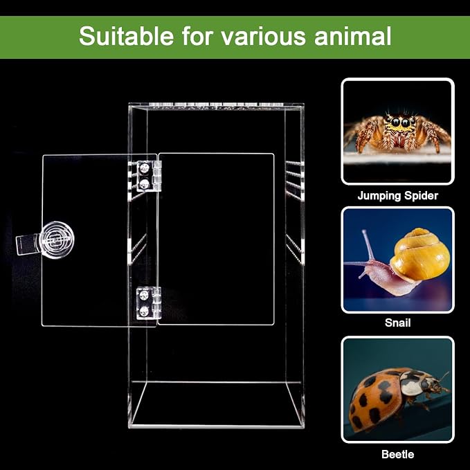 NANEEZOO Jumping Spider Enclosure with Front Opening Door, 6"x6"x12" Reptile Breeding Box Micro Habitat Terrarium for Small Tree Dwelling Reptiles, Spiders, Mantis & Invertebrates