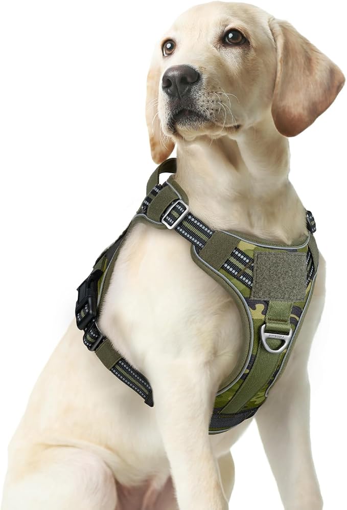 rabbitgoo Tactical Dog Harness Medium Sized, No Pull Service Pet Vest | Military Molle System & Easy Control Handle, Adjustable and Reflective for Walking and Training, Green Camo, Medium