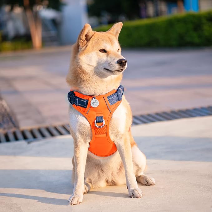 No Pull Dog Harness, Unique Colors Reflective Adjustable Dog Vest | with Soft Training Handle Metal Clips for Small Medium Large Dogs (Orange Base & Blue Straps,L)