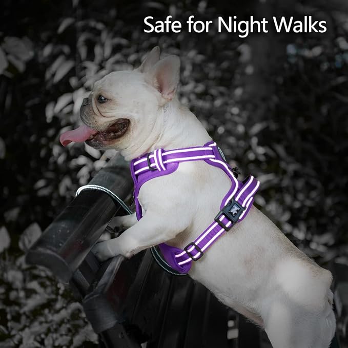 PoyPet No Pull Dog Harness, Reflective Vest with 2 Leash Clips & Handle | Lockable Neck Release Buckle, No Choke, Adjustable, Soft Padded, for Walking Training, Purple Matching Trim, Large