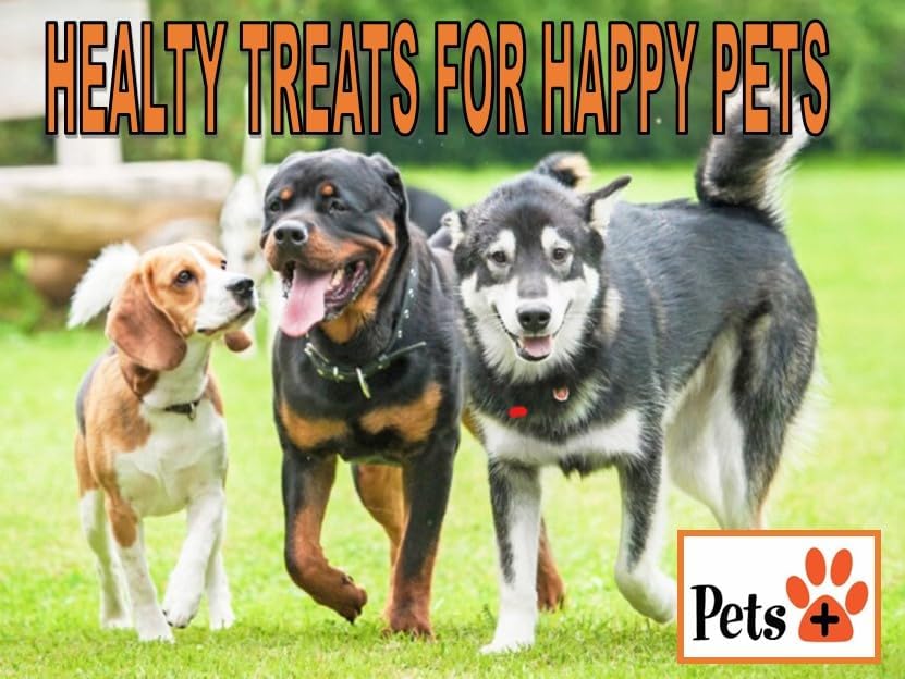 Pets Plus Premium Dog Treats – Venison Jerky, 5 Pack | All-Natural, High-Protein Dog Chews, Grain-Free Healthy Treats for Training, Rewards & Dental Support
