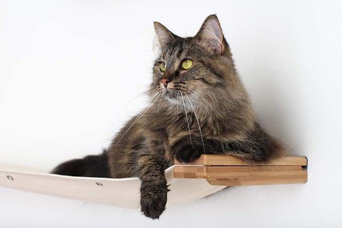CatastrophiCreations The Roman Cat Fort - Multiple-Level Cat Hammock & Climbing Activity Center Wall-Mounted Cat Tree Shelves