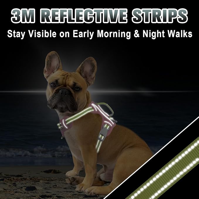 BARKBAY No Pull Dog Harness Large Reflective Dog Harness with Front Clip and Easy Control Handle for Walking Training Running with ID tag Pocket(Baby Pink & Sunlight,XS)