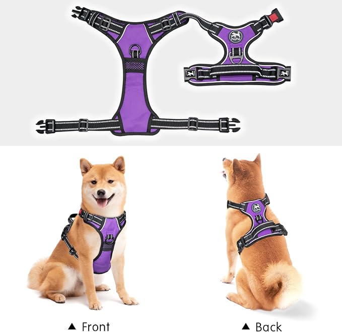 PoyPet No Pull Dog Harness Large with Front Clip & Neck Release Buckle | No Choke, Adjustable Vest, Reflective, Back Clip, Lockable, Soft Padded, Easy Control Handle for Walking Training, L, Purple