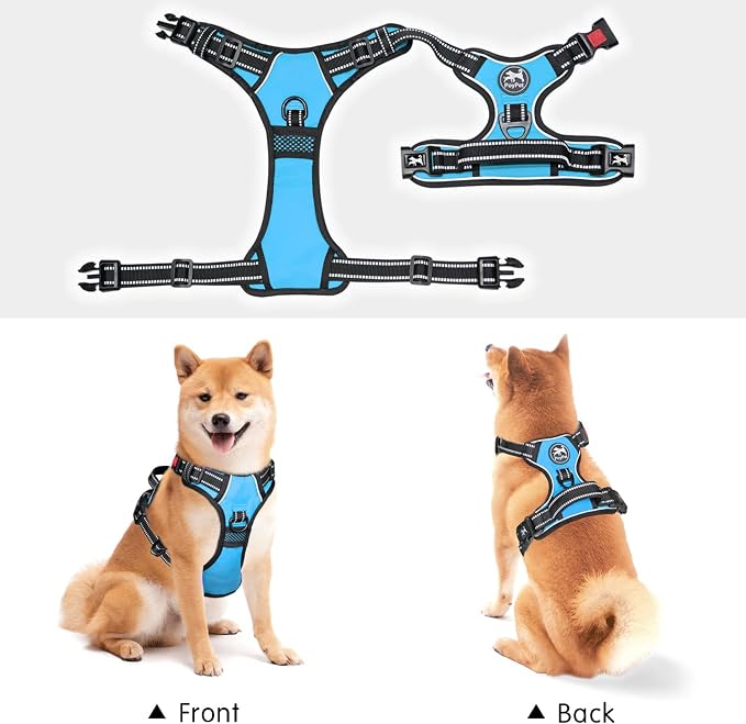 PoyPet No Pull Dog Harness Medium with Front Clip & Neck Release Buckle | No Choke, Adjustable Vest, Reflective, Back Clip, Lockable, Soft Padded Handle for Walking Training, M, Light Blue