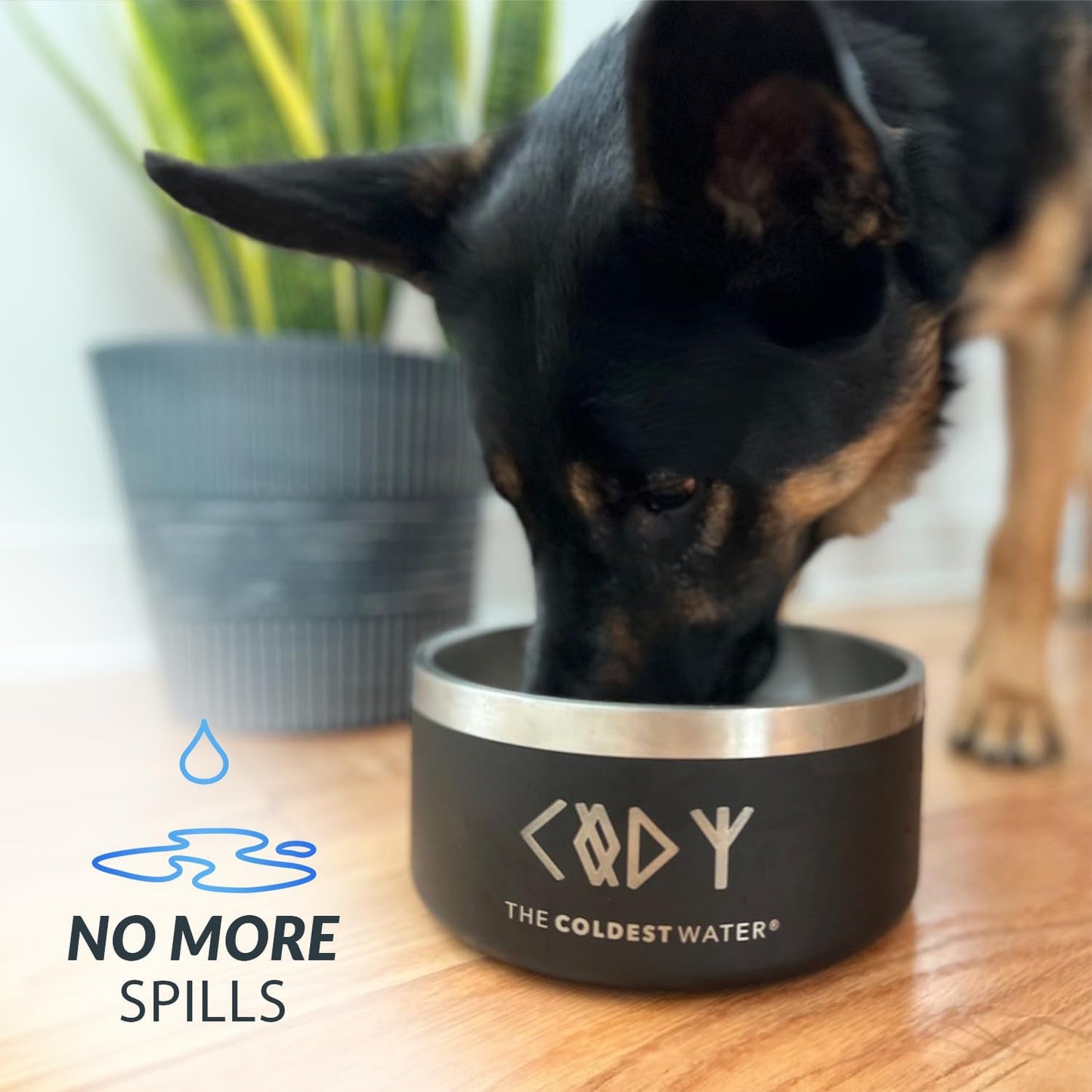 Coldest Dog Bowl - Anti Rust Metal, Non Slip, 3 Layers Insulated Stainless Steel Dog Bowls - Spill Proof & Heavy Duty - Water Bowl for Dogs, Cats & Pets, Dish Washer Safe (21 oz, Sahara Tan)