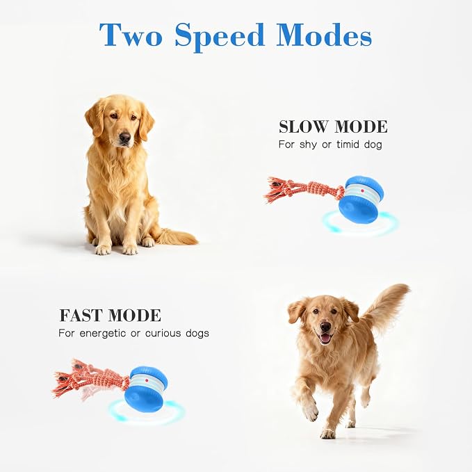 Interactive Dog Ball, Random Path Electric Automatic Moving and Rolling Dogs Toy with Rope for Small Medium Large Dogs, Motion-Activated Dog Stimulation Toy for Boredom Relief (Blue)
