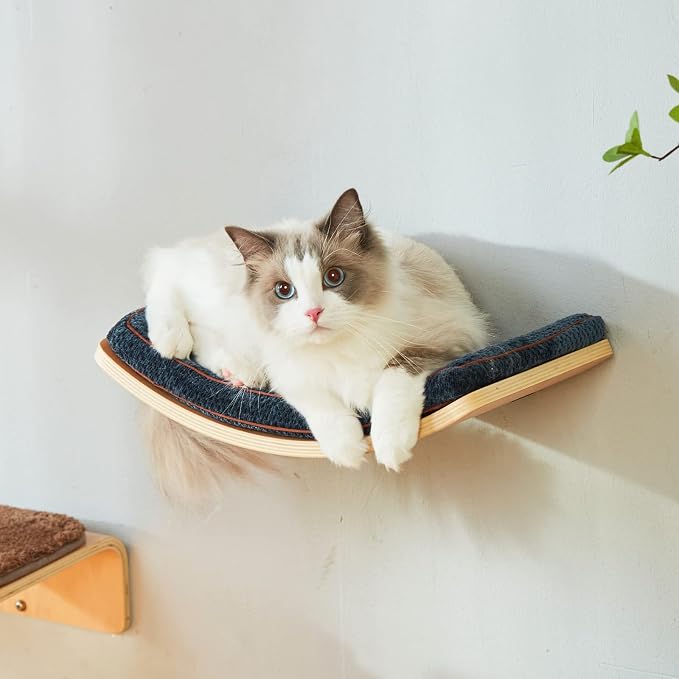 LIORCE Cat Shelf with Comfortable Cushion - Curved Cat Shelves and Perches for Wall (Medium Size) - Wall Mounted Cats Furniture for Sleeping, Playing, Climbing, and Lounging
