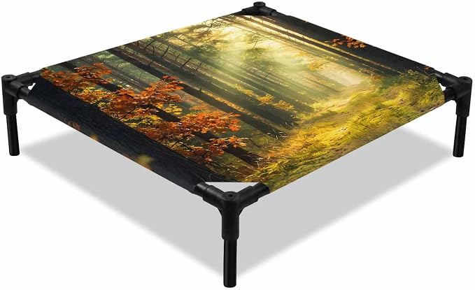 Outdoor Elevated Dog Bed for Small Dogs, Forest Breathable Cooling Raised Dog Cot for Indoor/Outdoor, Sunlight Rustic Trees Orange Green Mystery Waterproof Elevated Pet Beds, S 20 x 20 in