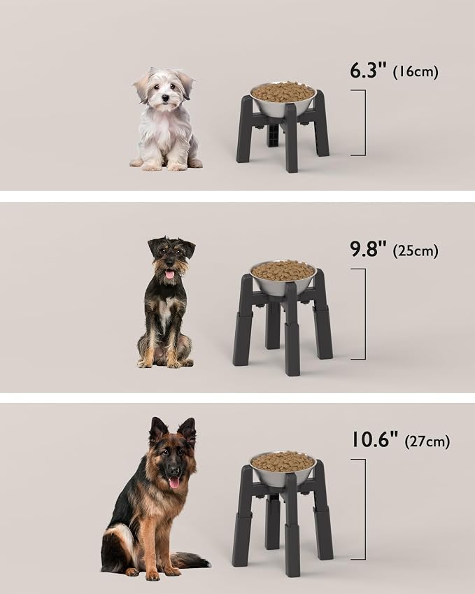 Dog Bowl Stand, 51 oz Large Capacity Stainless Steel Feeder (2 Pack) | Elevated Pet Water & Food Bowl for Medium Dogs, Stable and Anti-Slip Raised Bowl