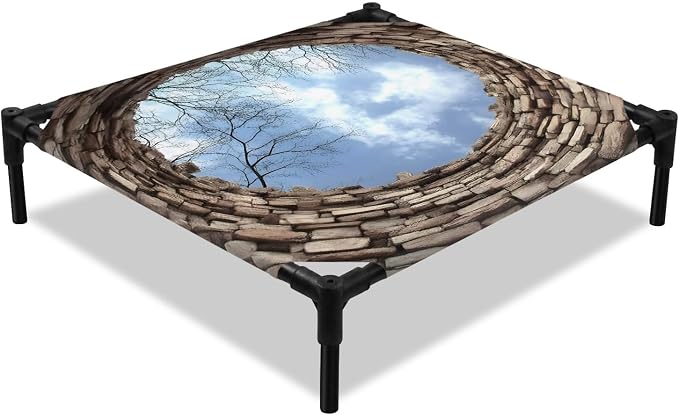 Outdoor Elevated Dog Bed for Small Dogs, Circular Well Breathable Cooling Raised Dog Cot for Indoor/Outdoor, Tree Branches Sky Vintage Aged Waterproof Elevated Pet Beds, S 20 x 20 in