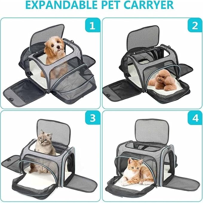 Airline Approved Expandable Pet Carrier for Cats & Small Dogs up to 6kg - Foldable, 3-Way Carry for Airplane & Outdoor (Grey Orange,Medium)