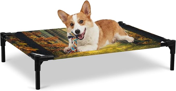 Outdoor Elevated Dog Bed for Large Dogs, Forest Breathable Cooling Raised Dog Cot for Indoor/Outdoor, Sunlight Rustic Trees Orange Green Mystery Waterproof Elevated Pet Beds, L 28 x 22 in