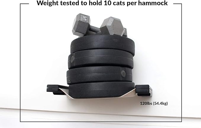 CatastrophiCreations Climb - Multiple-Level Cat Hammock & Climbing Activity Center - Wall-Mounted Cat Tree Shelves