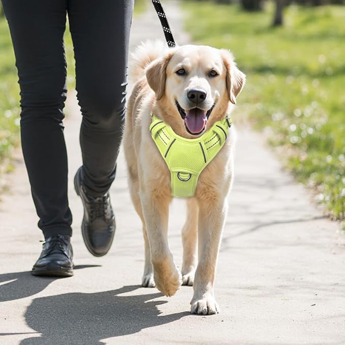 BARKBAY No Pull Dog Harness Large Reflective Dog Harness with Front Clip and Easy Control Handle for Walking Training Running with ID tag Pocket(Sunlight,XL)
