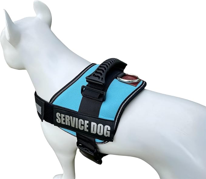 Service Dog Vest Harness – Reflective Service Animal Vest, No-Pull Harness with Handle & Mesh Padding – Sizes XXS-XL for Puppies – 2 Removable Service Patches Included (Extra Large, Blue)