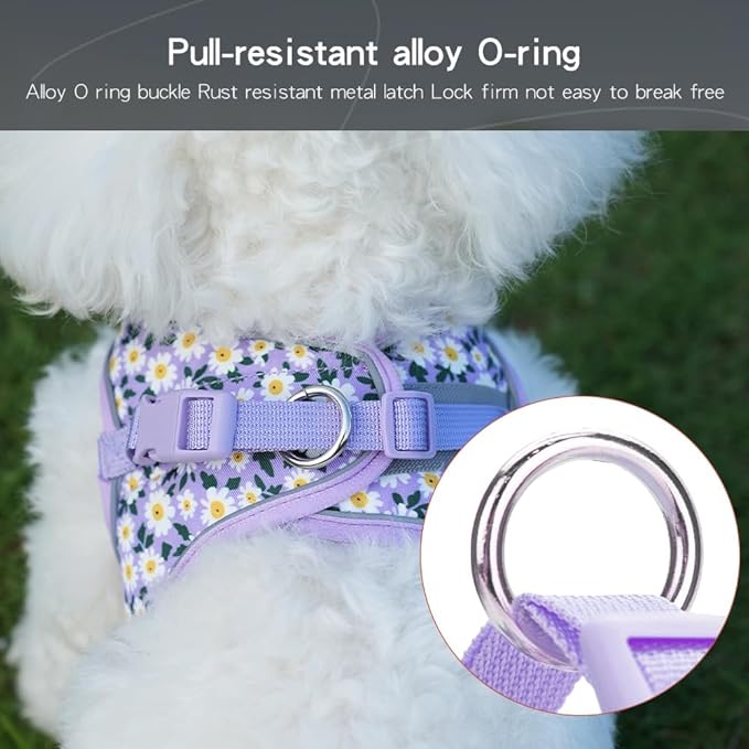 Step in Dog Harness and Leash Set, Flower Adjustable Easy Walk Puppy Harnesses, Soft Mesh No Pull Pet Vest Harness for Small Medium Dogs(Daisy, S)