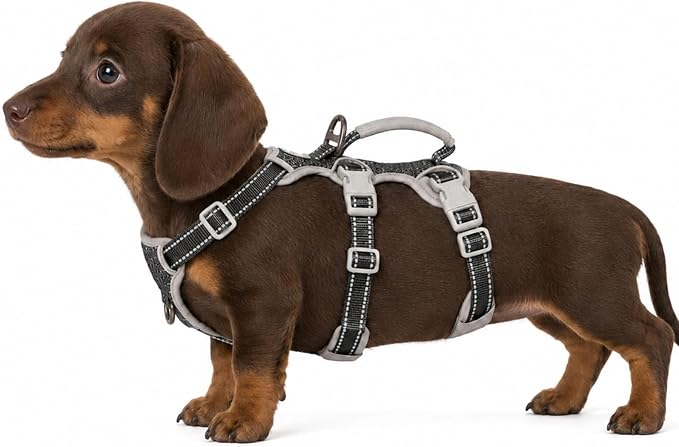Escape Proof Dog Harness, Escape Artist Harness, Fully Reflective Harness with Padded Handle, Breathable,Durable, Adjustable Vest for Medium Dogs Walking, Training, and Running Gear (Black,XS)