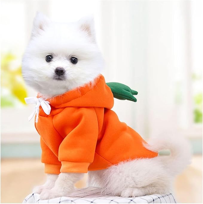 Warm Dog Winter Clothes Cute Fruit Dog Coat Hoodies Fleece Pet Dogs Costume Jacket for French Bulldog Chihuahua Ropa para Perro(Orange,XXL)