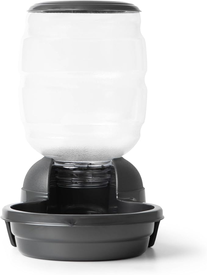 Petmate® Replendish® Automatic Dog Feeder Gravity Pet Treat Dispenser with Microban Antimicrobial Protection, Wide Mouth Bowl, 100% BPA Free - 5 lb