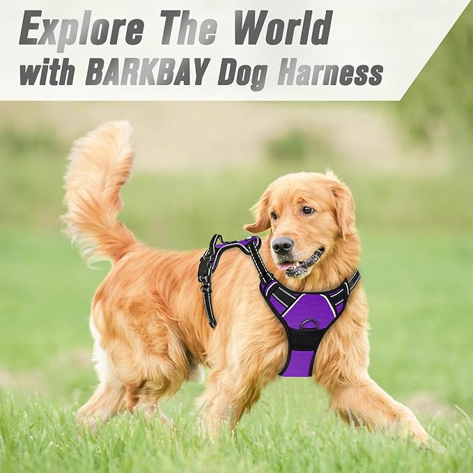 BARKBAY No Pull Dog Harness Front Clip Heavy Duty Reflective Easy Control Handle for Large Dog Walking(Purple,M) | Soft Padded No Choke With Handle,Easy On&Off,Adjustable Reflective For Walking Training Running(Purple,M)