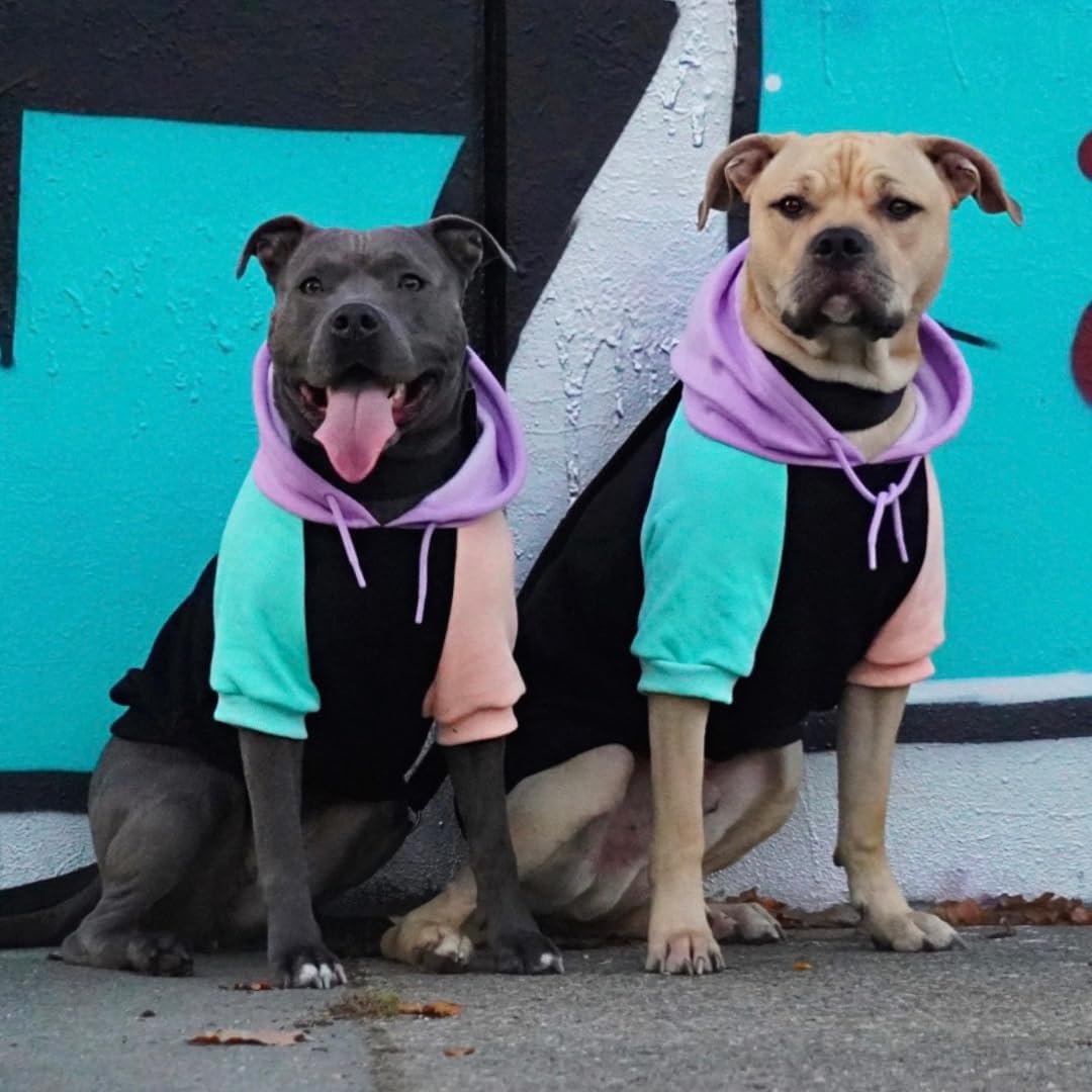 Spark Paws Dog Hoodie – Premium Dog Sweater for Small, Medium, and Large Dogs | Warm Outfits for French Bulldogs, Pitbull, Puppy, Winter Jacket Alternative - Cyber Punk - 2XL
