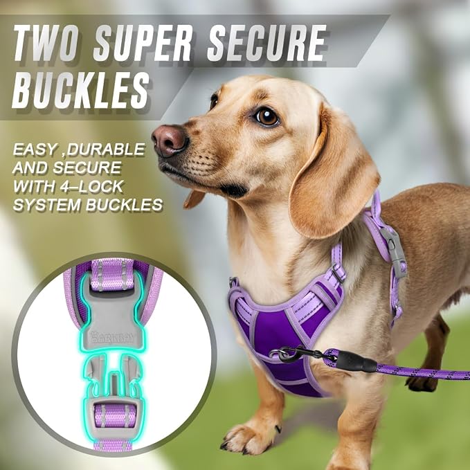 BARKBAY Dog Harness No Pull for Small Sized Dog Front Back Clips,Dog Vest | Soft Padded No Choke With Handle,Easy On&Off,Adjustable Reflective For Walking Training Running(Violet Purple & Purple,S)
