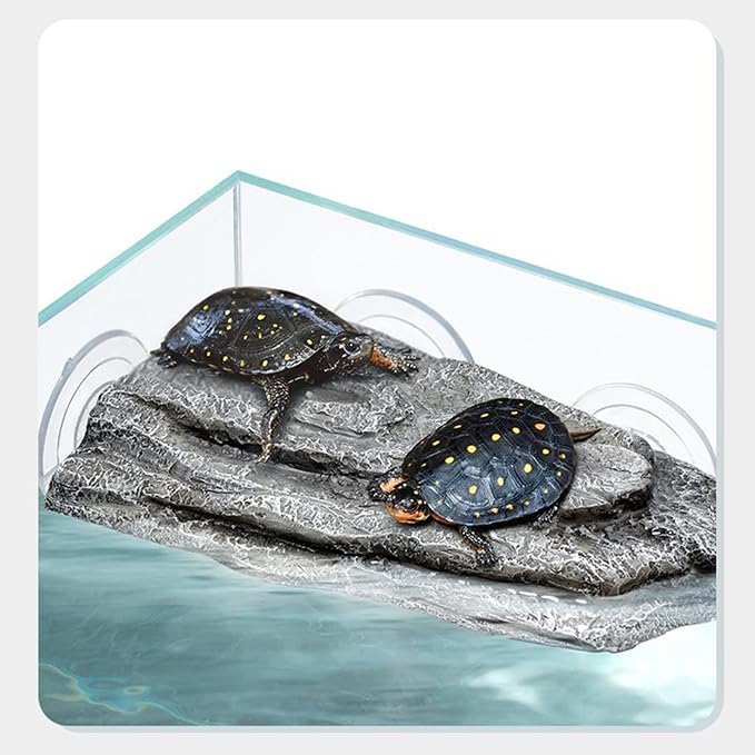 BigTron Turtle Floating Basking Platform - Artificial Bark Decor, Ideal for Aquariums, Terrace Fish Tanks, 3 pcs Suction Cups Included for Easy Installation Resting Terrace for Terrapins (Grey)