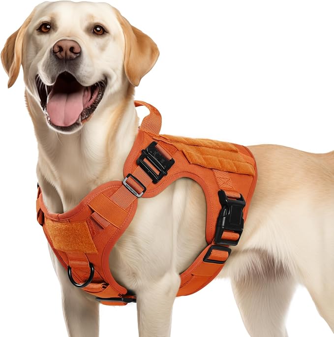 rabbitgoo Tactical Dog Harness for Medium, Heavy Duty Military No Pull Vest | Sturdy Metal Buckles, 5 Adjustments, Molle System, Powerful Pullers for Training, Hunting, Outdoor, Orange, Medium