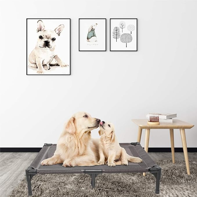 Elevated Dog Bed Waterproof Outdoor, Portable Raised Dogs Beds, Dogs Beds Off the Floor, Dog Bed Easy Clean Indoor or Outdoor Use, Large, Grey