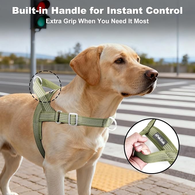 No Pull Dog Harness with Handle, Adjustable Soft Mesh Padded Vest | Reflective Walking Harness with Front Clip for Small Medium Large Dogs, Quick Fit No Escape for Training, Ranger Green, M