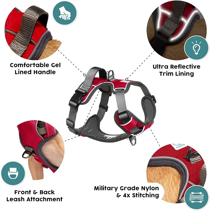 Embark No Pull Dog Harness, Reflective Adjustable Training Vest, No Choke | Adjustable straps fit all dog breeds with sturdy hooks; 360° reflective trim, soft padded Harness Design for All Dogs
