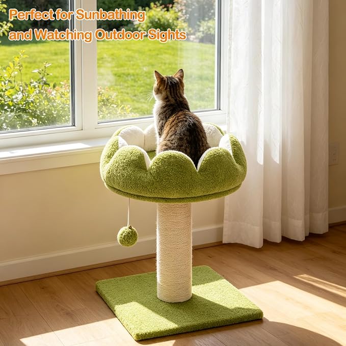 Flower Cat Scratching Post for Indoor Cats Scratcher with Perch | Comfortable & Removable Perch, Interactive Dangling Ball, Natural Sisal Scratching Post, Simple Assembly & Stability