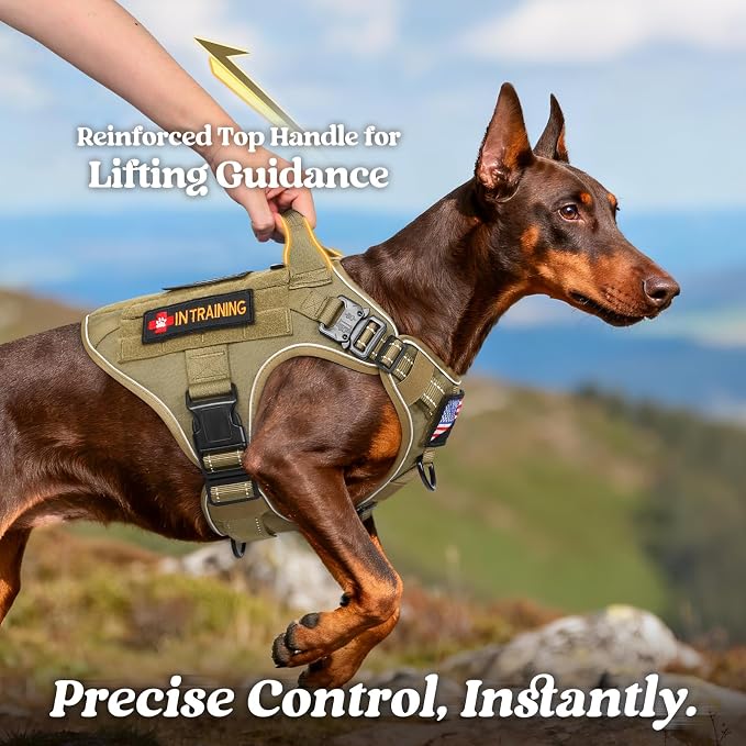 rabbitgoo Tactical Dog Harness X-Large, Heavy Duty Military No Pull Vest | Sturdy Metal Buckles, 5 Adjustments, Molle System, Powerful Pullers for Training, Hunting, Outdoor, Brown Reflex, X-Large