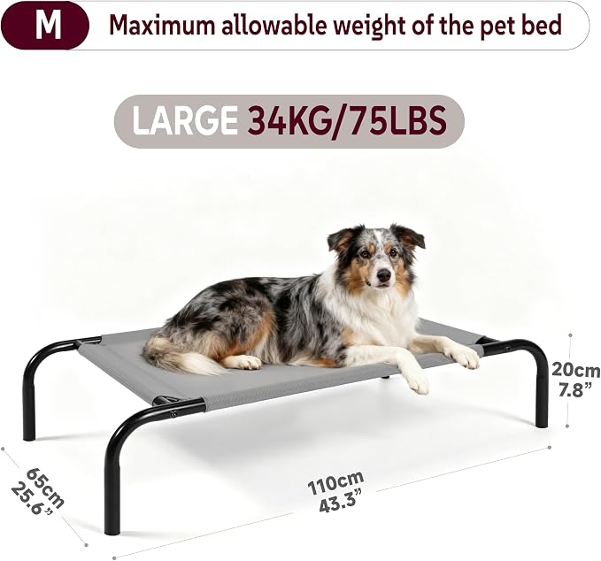 Elevated Dog Bed with Breathable Mesh Fabric, Raised Pet Cot with Airflow and Support, Durable and Easy to Clean (Grey, Medium)