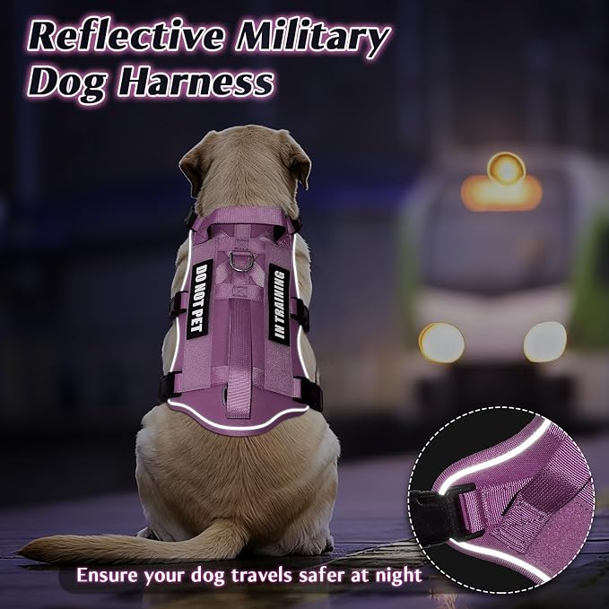 Escape Proof Dog Harness with Double Handle+4 Removable Patches | Service Working Molle Harness with Double Handle for Medium Dogs, Tactical Pet Reflective Vest for Walking Hiking Hunting