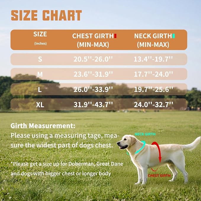 AUROTH Dog Harness and Leash Set Small Sized Dog, No Pull Escape Proof Vest | with Leash Clips, LED light clip, Breathable Mesh Padded No Choke, Easy Walking and Training, Turmeric, Small