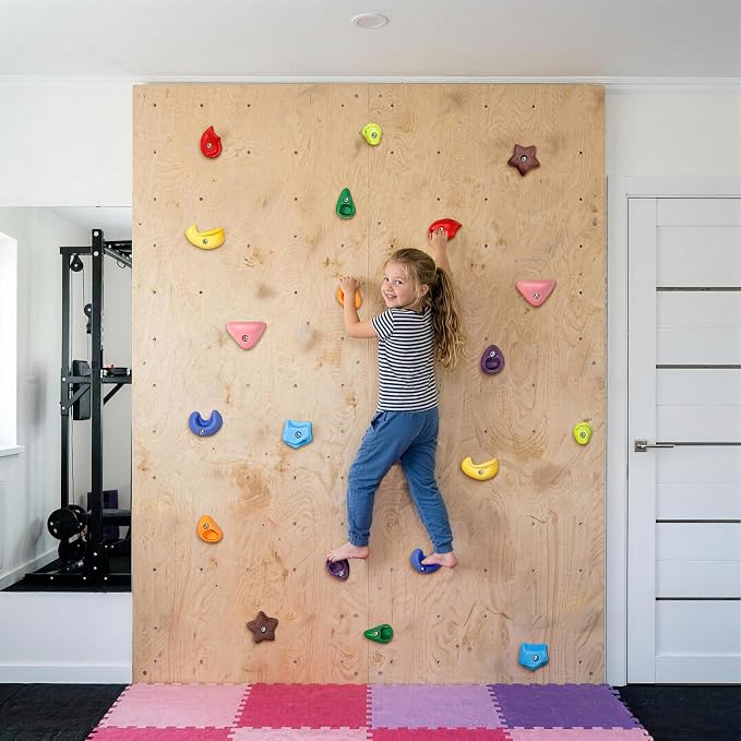 TOPNEW Climbing Holds for Kids, Rock Wall Holds with Hardware - Climbing Rocks for Indoor Outdoor Playground Climbing Wall (20 Pcs)
