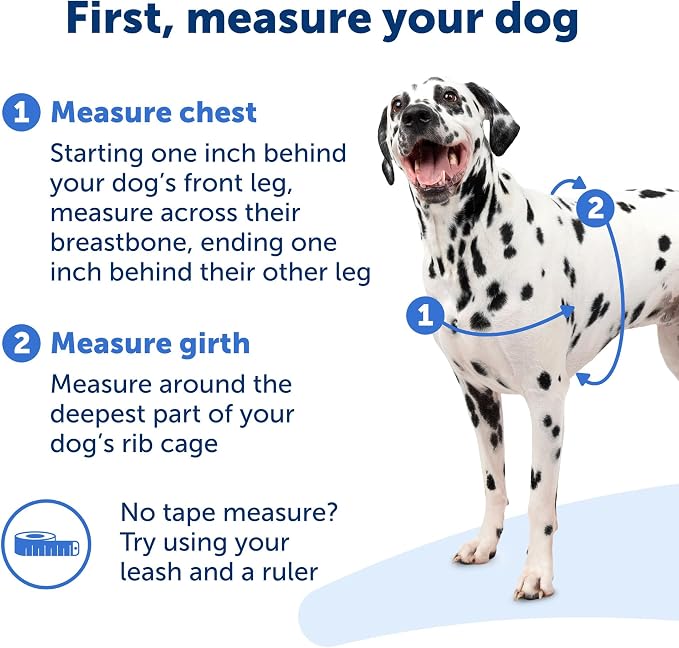 PetSafe Easy Walk Harness for Dogs - Pull-Free Walks - Patented Martingale Loop Design - Front Chest Leash Attachment - Comfort Straps - Breathable Harness Design - Large, Charcoal/Black(Pack of 3)
