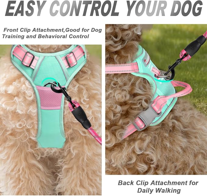 BARKBAY Dog Harness No Pull for Small Sized Dog Front Back Clips,Dog Vest | Soft Padded No Choke With Handle,Easy On&Off,Adjustable Reflective For Walking Training Running(Cool Mint & Baby Pink,XS)