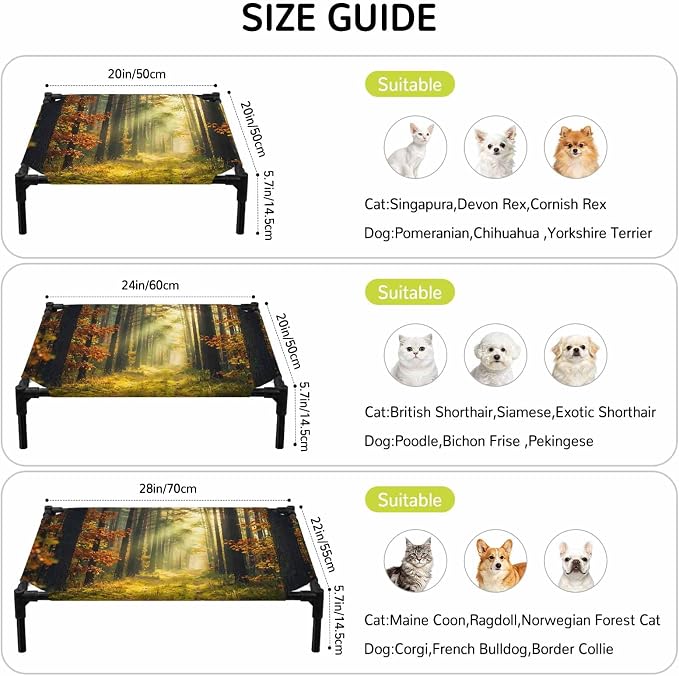 Outdoor Elevated Dog Bed for Small Dogs, Forest Breathable Cooling Raised Dog Cot for Indoor/Outdoor, Sunlight Rustic Trees Orange Green Mystery Waterproof Elevated Pet Beds, S 20 x 20 in
