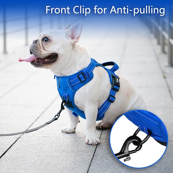 PoyPet No Pull Dog Harness, Reflective Vest with 2 Leash Clips & Handle | Lockable Neck Release Buckle, No Choke, Adjustable, Soft Padded, for Walking Training, Royal Blue, Small