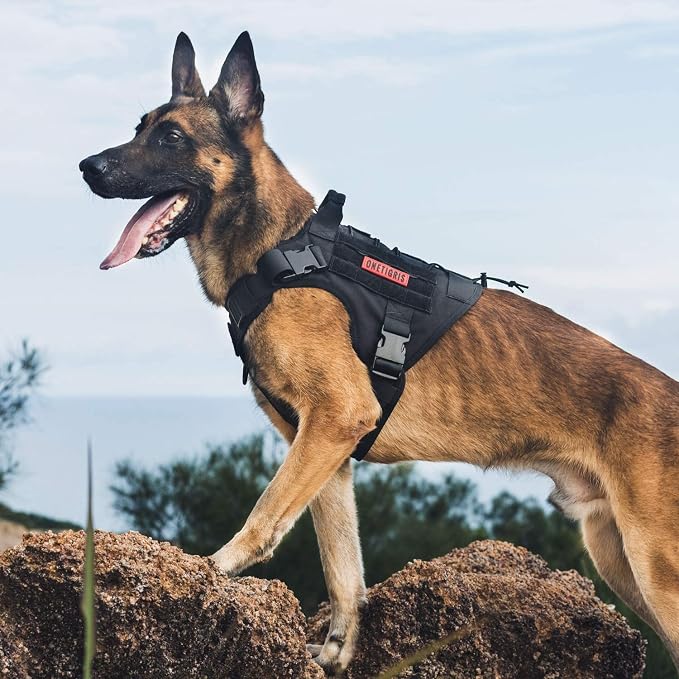 OneTigris Tactical Dog Harness Vest with Handle, Dog Harness for Large Medium Dogs,No-Pull Service Dog Vest with Hook & Loop Panels,Adjustable Dog Vest Harness for Walking(Black,Small) | No-Pull Service Dog Vest with Hook & Loop Panels, Adjustable Dog ...