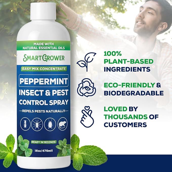 Peppermint Insect & Pest Control Best Value Concentrate - Repels Insects & Pests for Home, Indoor, Outdoor, Garden - Maximum Strength Concentrate (Makes Two Gallons RTU) 16 oz