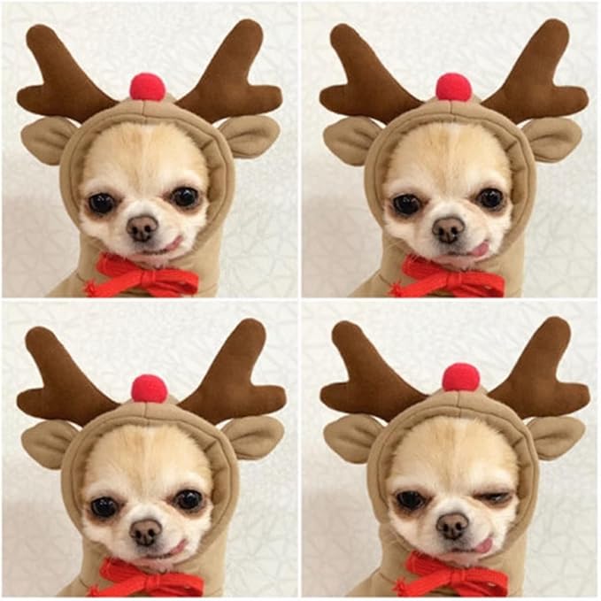 Warm Dog Winter Clothes Cute Fruit Dog Coat Hoodies Fleece Pet Dogs Costume Jacket for French Bulldog Chihuahua Ropa para Perro(Coffee,M)
