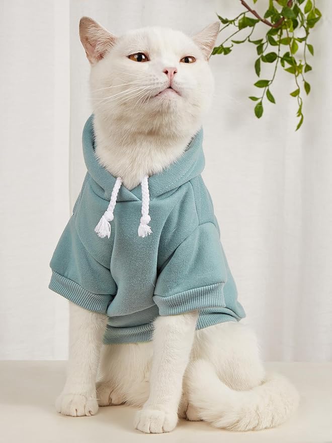 QWINEE Basic Dog Hoodie Sweatshirt Puppy Sweater Warm Cat Costumes Pet Clothes for Chihuahua Puppy Kitten Small Medium Dogs Grey and Cadet Blue Small