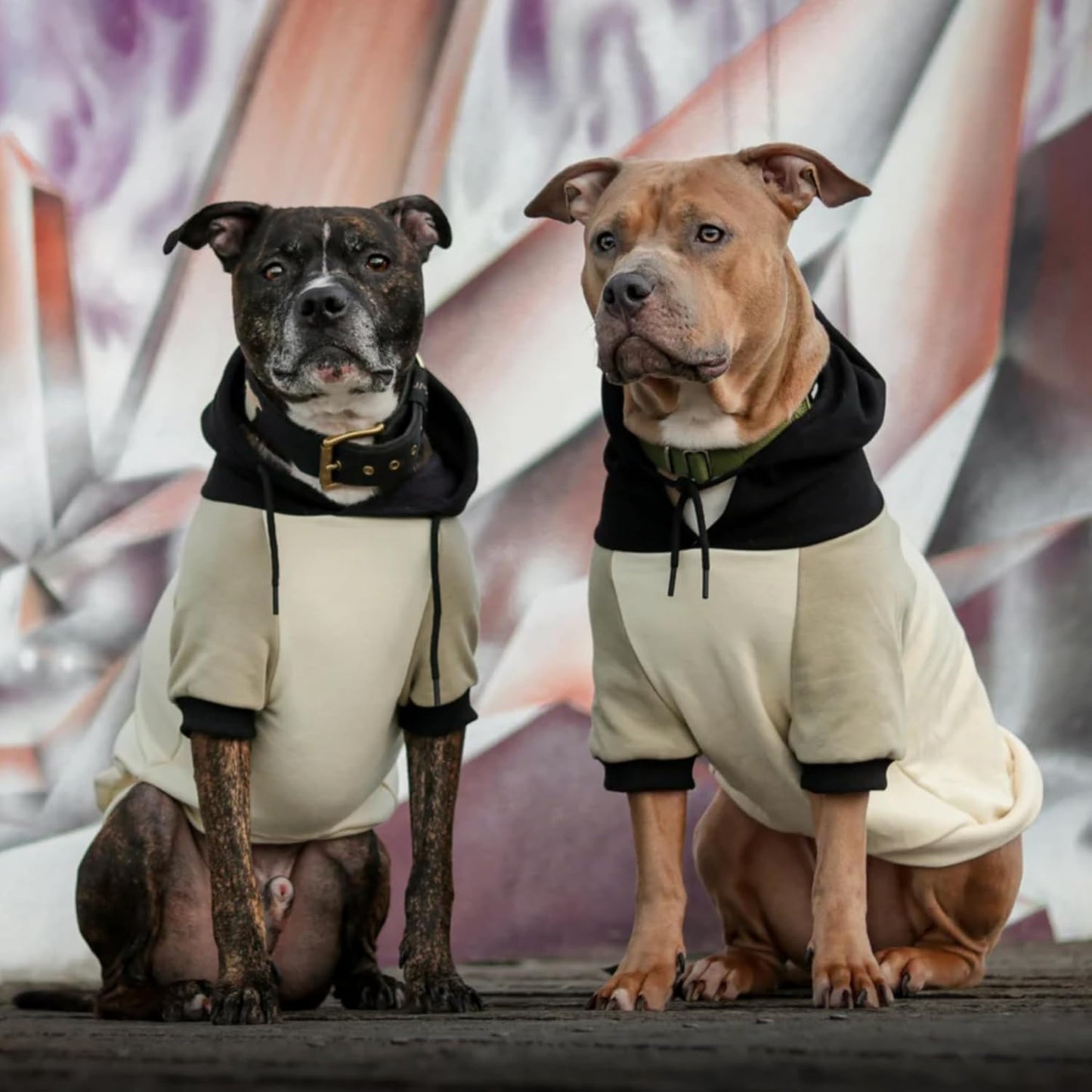 Spark Paws Dog Hoodie – Premium Dog Sweater for Small, Medium, and Large Dogs | Warm Outfits for French Bulldogs, Pitbull, Puppy, Winter Jacket Alternative - Olive Cream - M