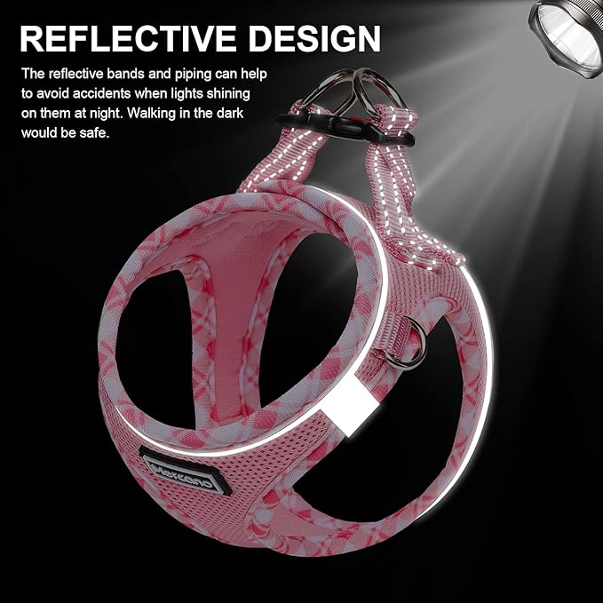 Mercano Soft Mesh Dog Harness and Leash Set, No-Chock Step-in Reflective Breathable Lightweight Easy Walk Vest Harnesses with Safety Buckle for Small Dogs, Cats (Pink, S)